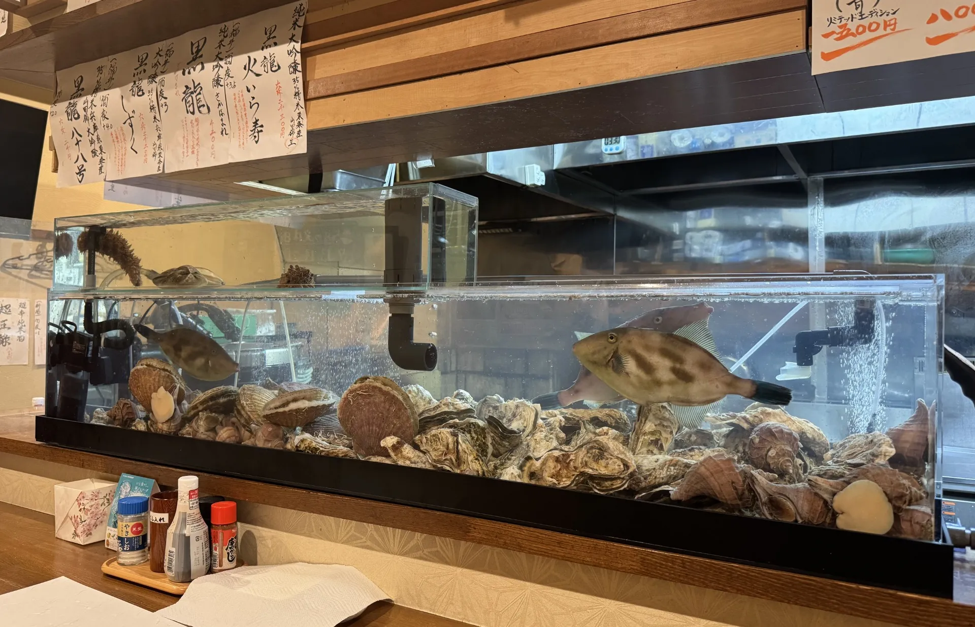 函館市 居酒屋 さくら井様