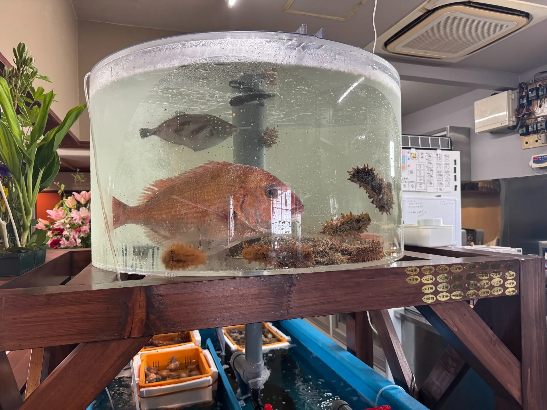 函館市 居酒屋 さくら井様