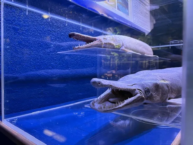 碧南海浜水族館様